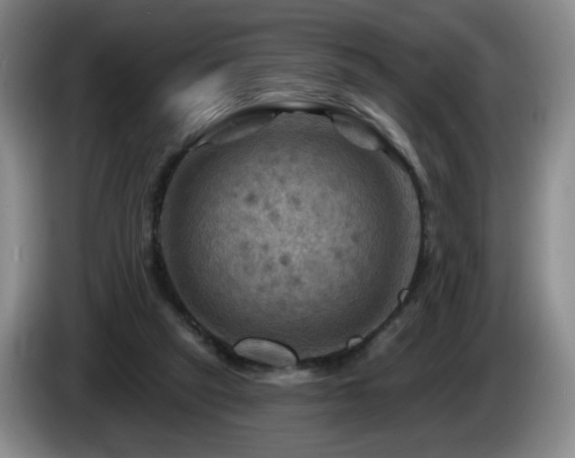 X0000085300257200703091439