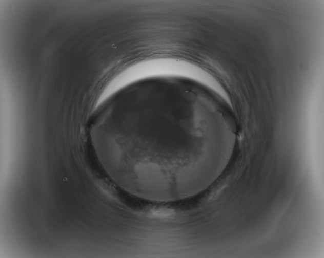 X0000085300258200703091439