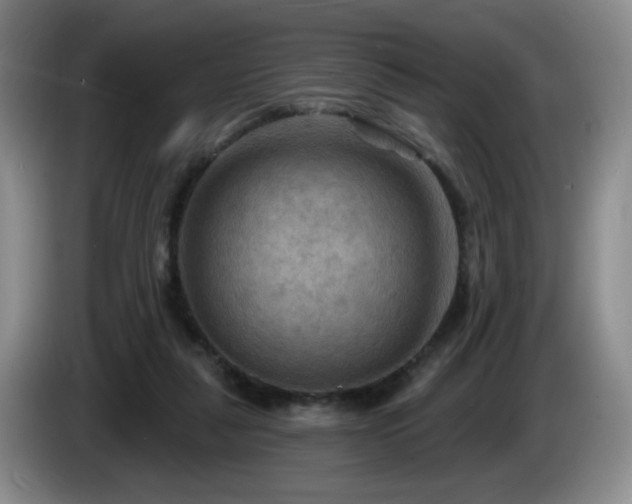 X0000085300259200703091439