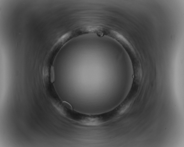 X0000085300260200703091439