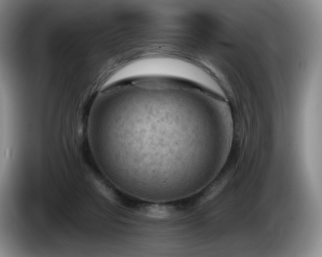 X0000085300261200703091439