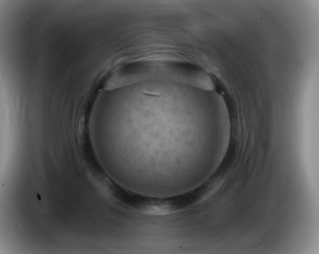 X0000085300263200703091439