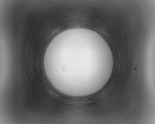 X0000085300264200703091439