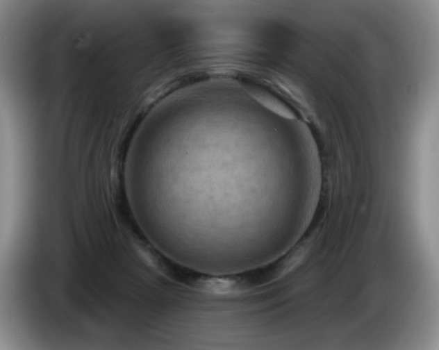 X0000085300265200703091439