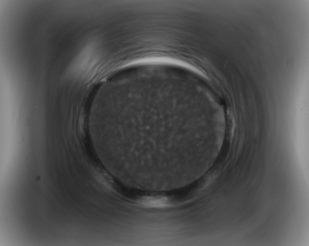 X0000085300266200703091439