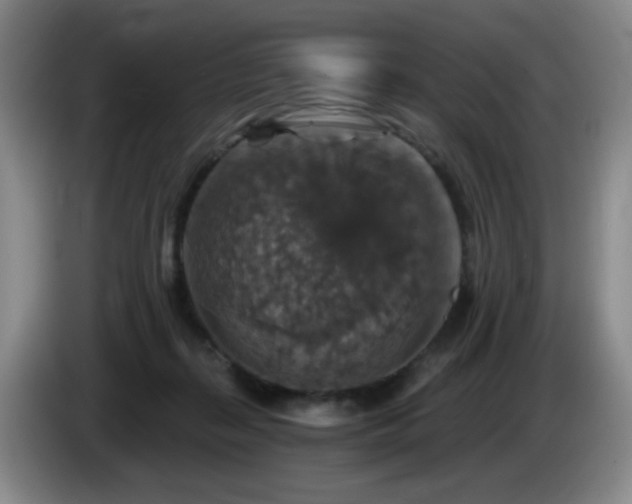 X0000085300267200703091439