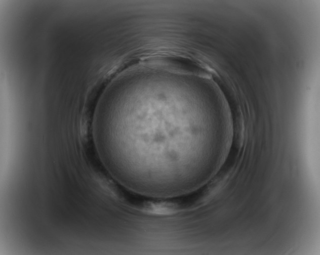 X0000085300268200703091439