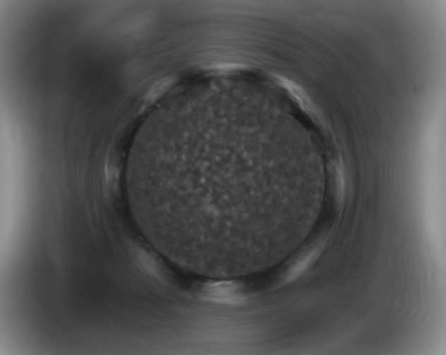 X0000085300269200703091439