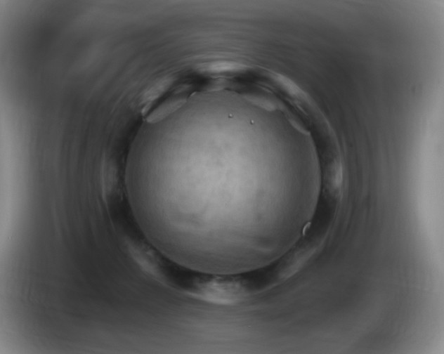 X0000085300270200703091439