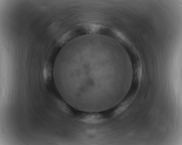 X0000085300274200703091439