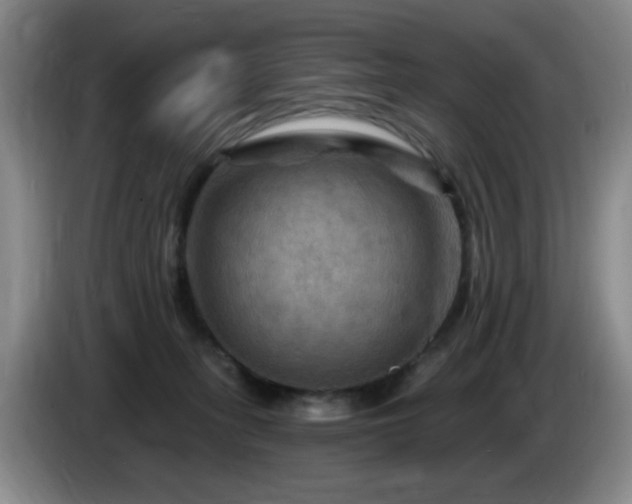 X0000085300275200703091439