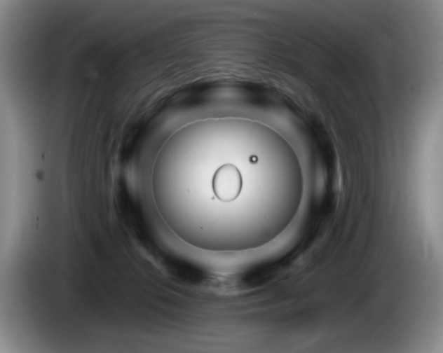 X0000085300276200703091439