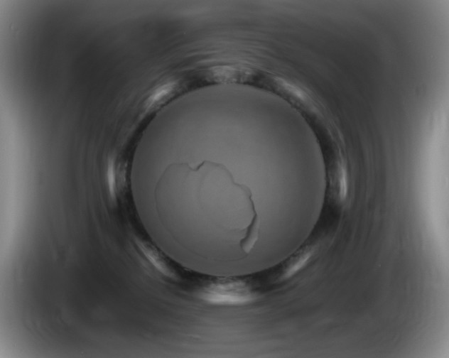 X0000085300278200703091439