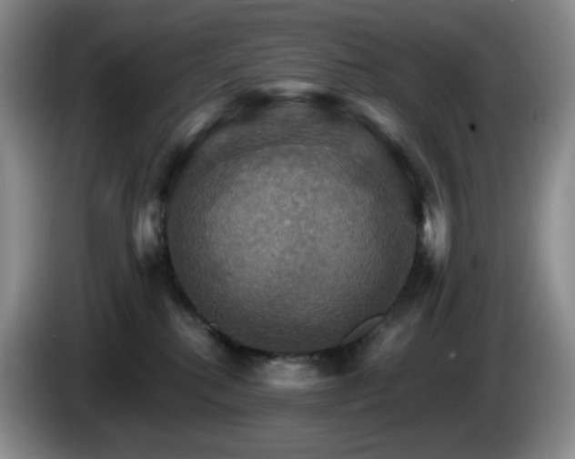 X0000085300280200703091439