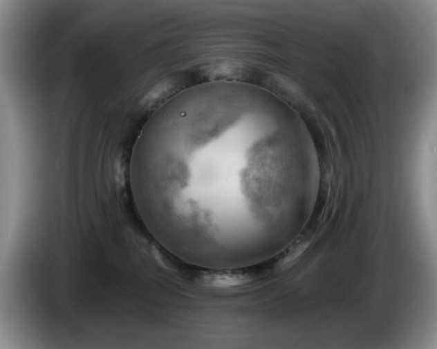 X0000085300282200703091439