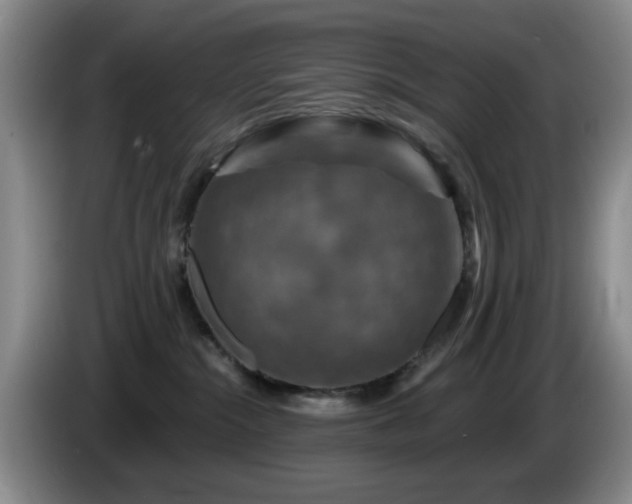 X0000085300284200703091439