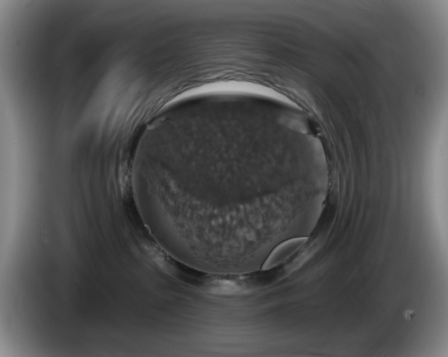 X0000085300285200703091439