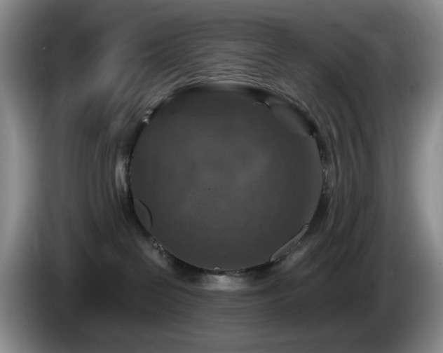 X0000085300286200703091439