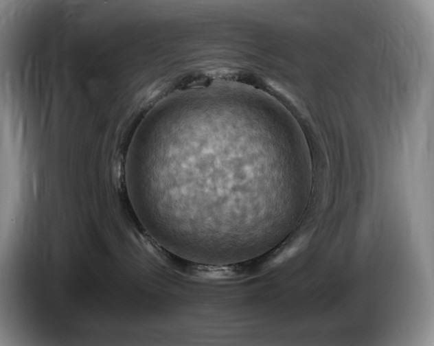 X0000085300288200703091439