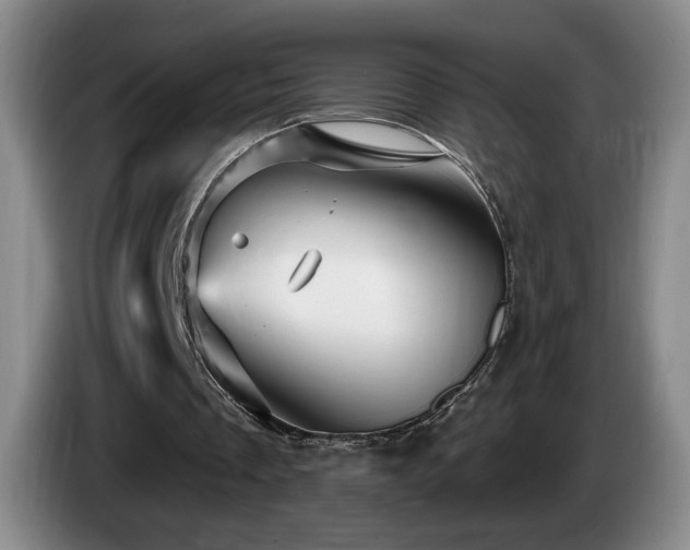 X0000085300289200703091438