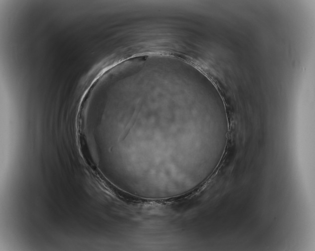 X0000085300290200703091438