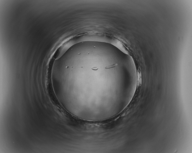 X0000085300291200703091438