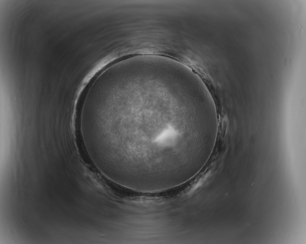 X0000085300292200703091438