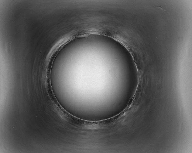 X0000085300293200703091438