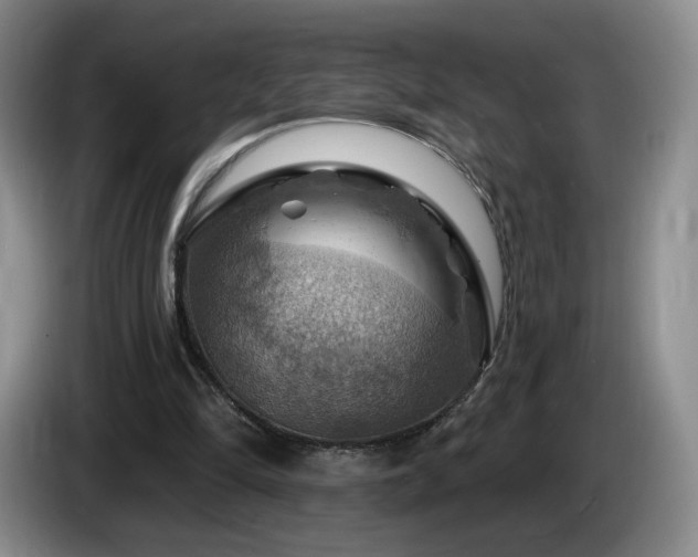 X0000085300294200703091438