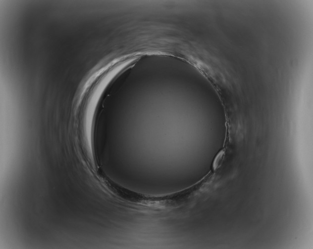 X0000085300295200703091438