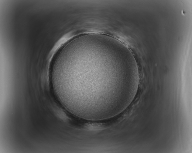 X0000085300296200703091438