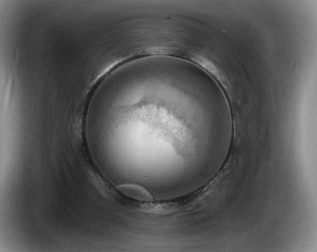 X0000085300297200703091438