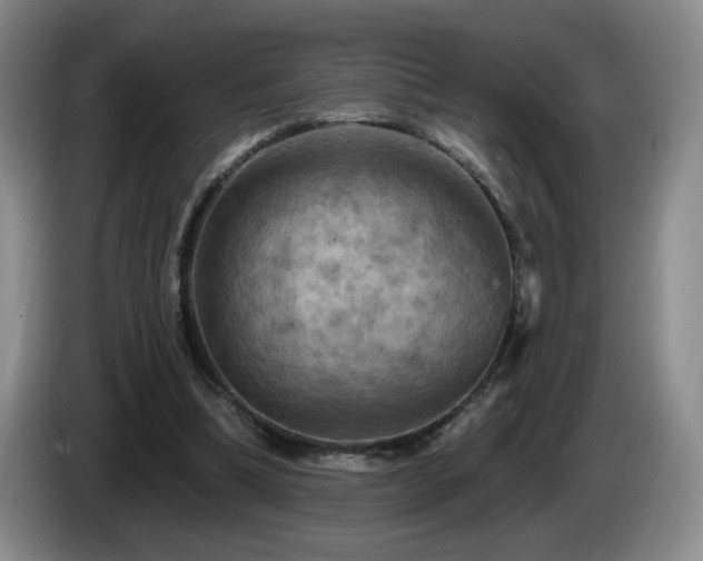 X0000085300298200703091438