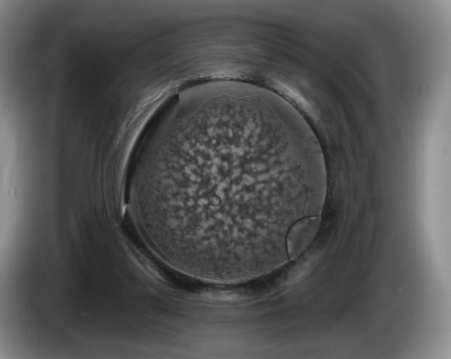 X0000085300299200703091438