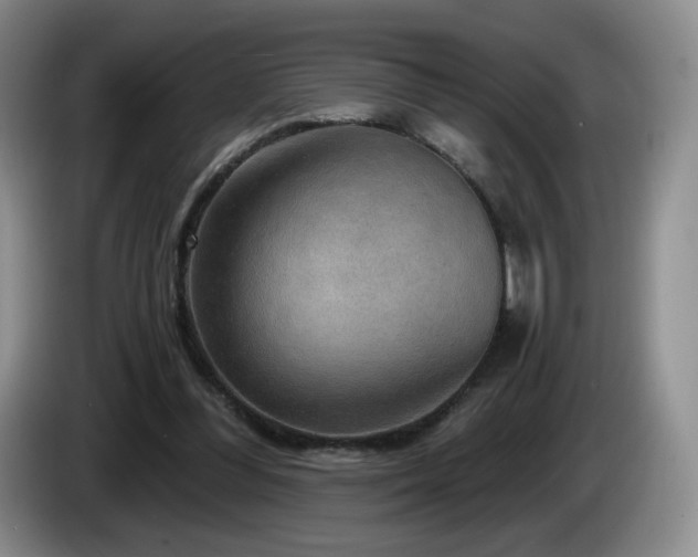 X0000085300300200703091438