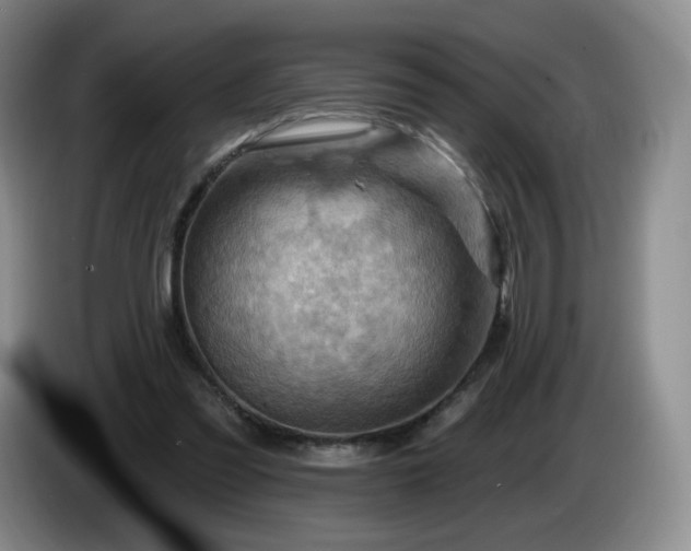 X0000085300301200703091438