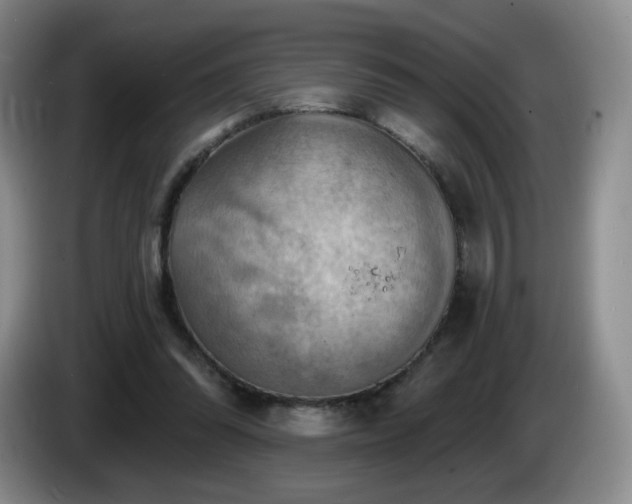 X0000085300302200703091438