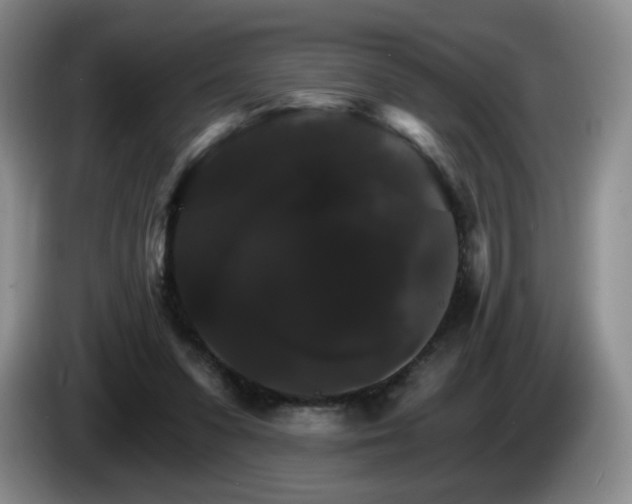 X0000085300303200703091438