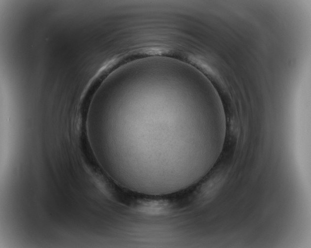 X0000085300304200703091438