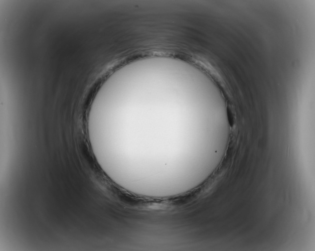 X0000085300306200703091438