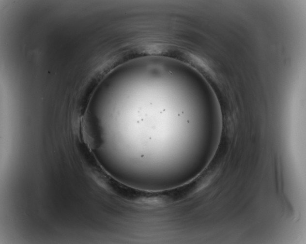 X0000085300307200703091438