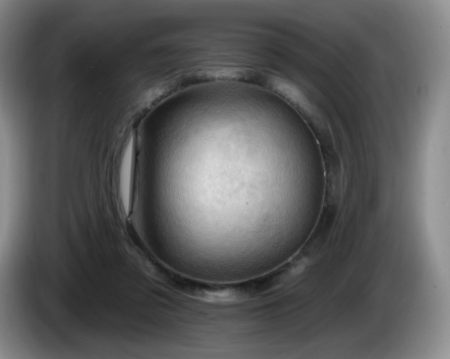 X0000085300309200703091438