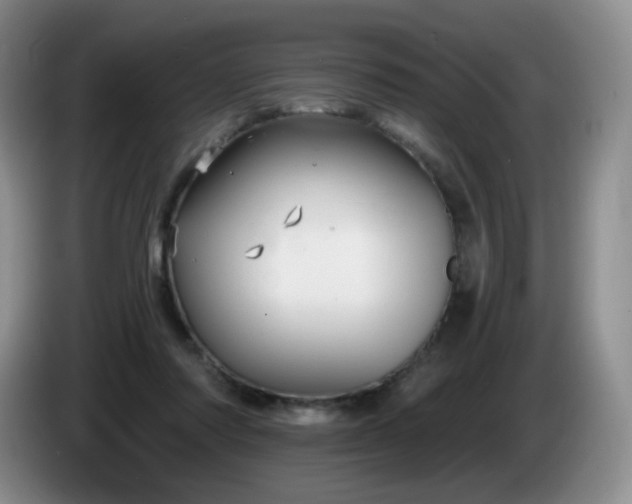 X0000085300310200703091438