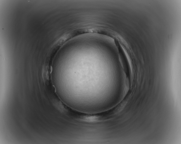 X0000085300313200703091438