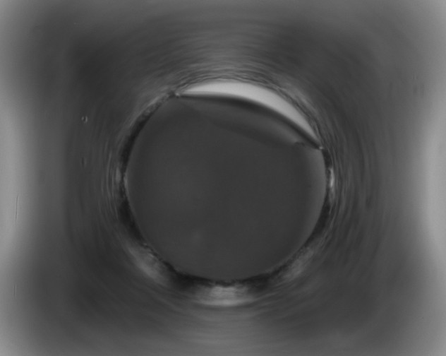 X0000085300314200703091438