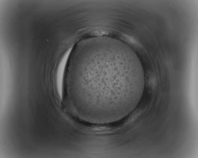 X0000085300315200703091438