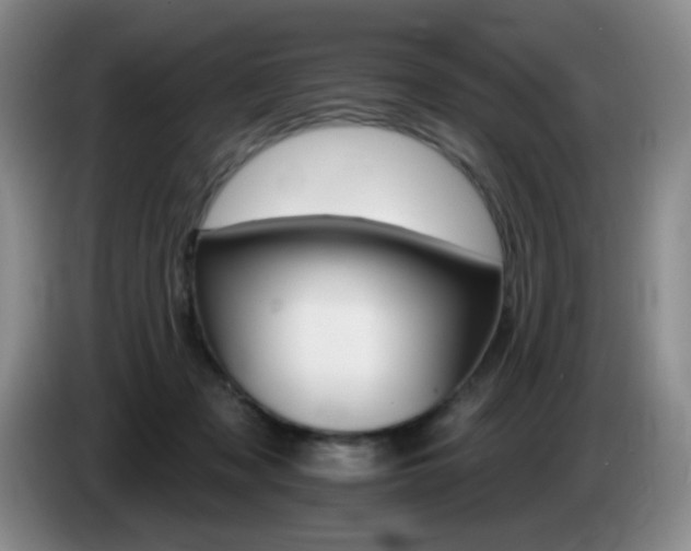 X0000085300317200703091438