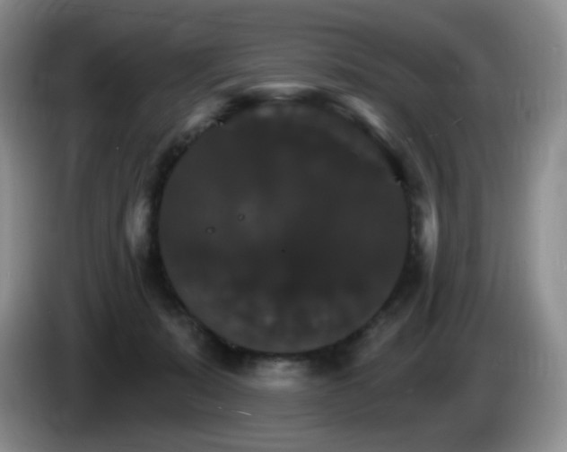 X0000085300319200703091438