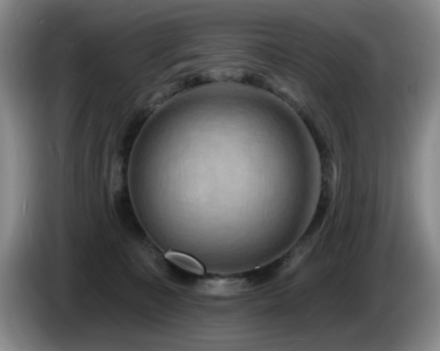 X0000085300323200703091438