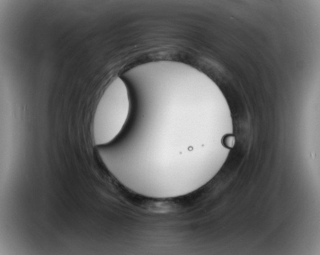 X0000085300324200703091438